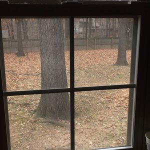 Meet your Posher, Roseann